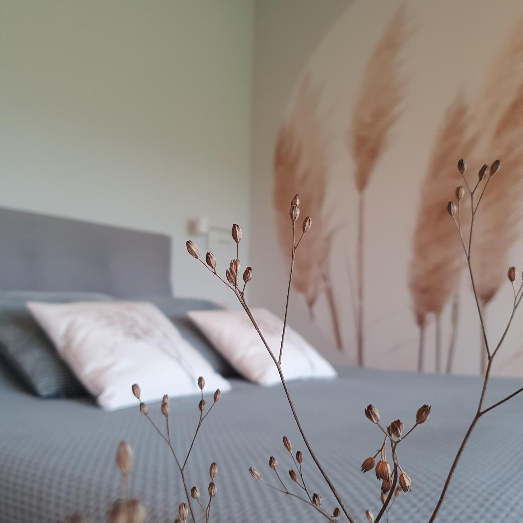 Hippe Schuur Bed & Breakfast Tytsjerk Ngoại thất bức ảnh